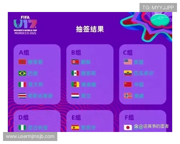 全面解析世界杯欧洲区预选赛出线规则及影响因素